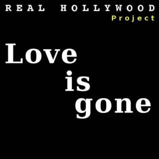 Love Is Gone (Masterboy Remix) (2010)