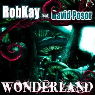 Wonderland (Radio Edit) (2011)