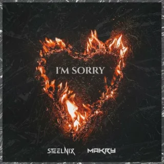 I'm Sorry (2024)
