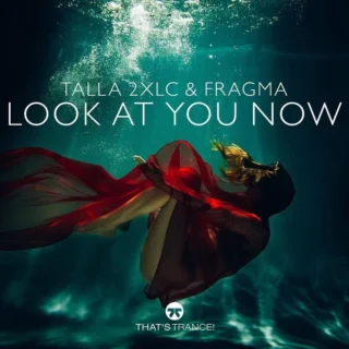Look at You Now (2025)