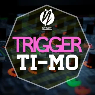 Trigger (Radio Edit) (2016)