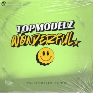 Wonderful (Pulsedriver Remix) (2025)