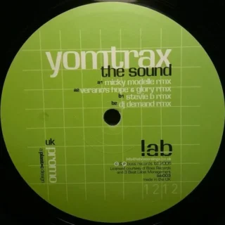 The Sound (Micky Modelle Rmx) (2007)