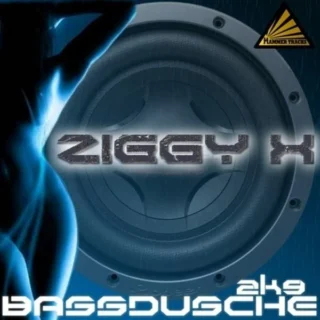 Bassdusche 2k9 (Video Mix) (2009)