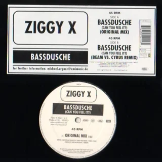 Bassdusche (Can You Feel It?) (2003)